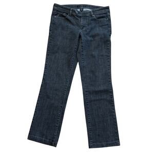 Noir Smokey Gray Black Women's Denim Jeans SZ 10 Low Rise Straight Leg Stretch